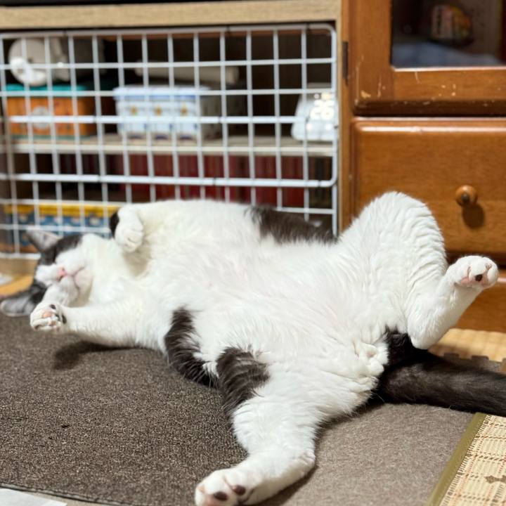 788ce545 6037 4998 b79c 9918a72521eb 1748397359879