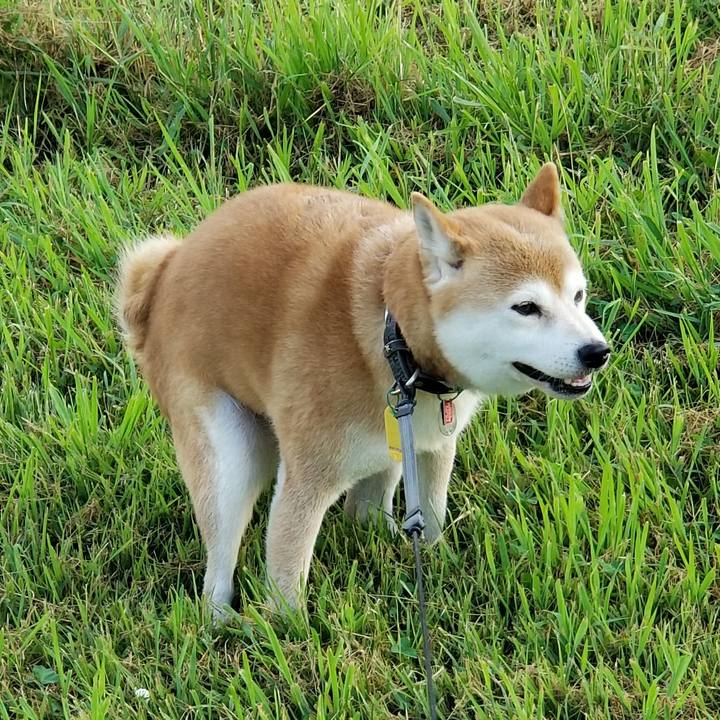 788d711f 46dc 4199 83df 38d47ac1464c 1598171797100