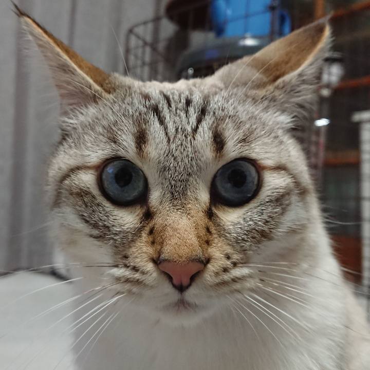 788d7cee a3ad 428c b32f ac439aaa3e9a 1611571412893