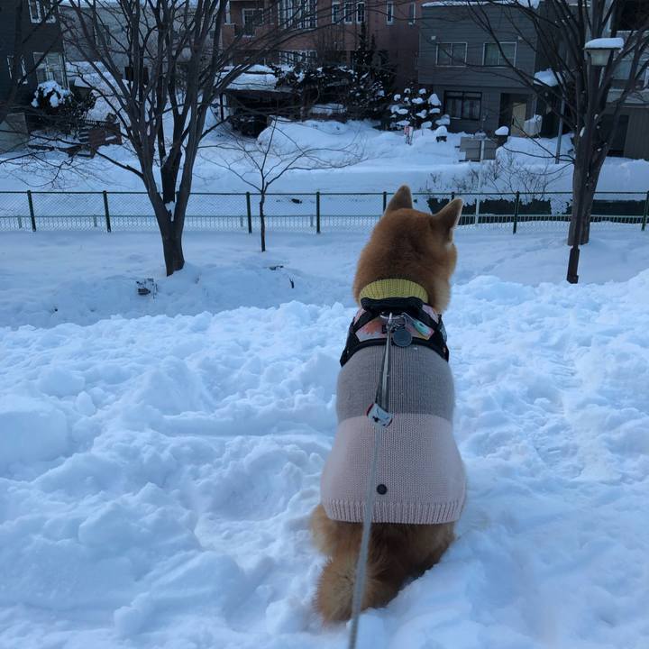 788dc7bf c931 4d28 b6b4 0d43840050c1 1549707324415