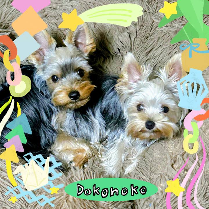 788e0f9c 6753 486c a8a3 d0f15c049dad 1755218805861