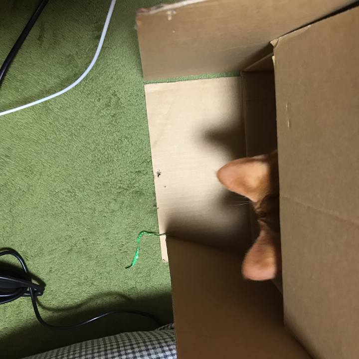 788e26ba 6498 45d3 9737 c042a1c5dd7c 1518793040630