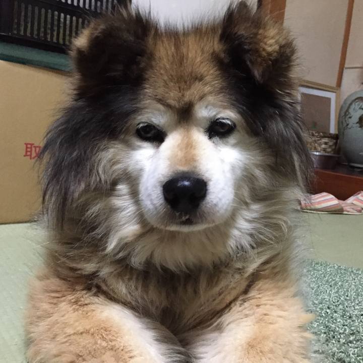 788e4d71 5b2f 4b8e a475 7b196b4882f7 1584343482684