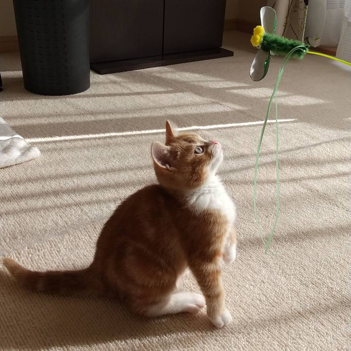 788e711d dd17 44ea 9590 e13e7af0c1b4 1621334810639