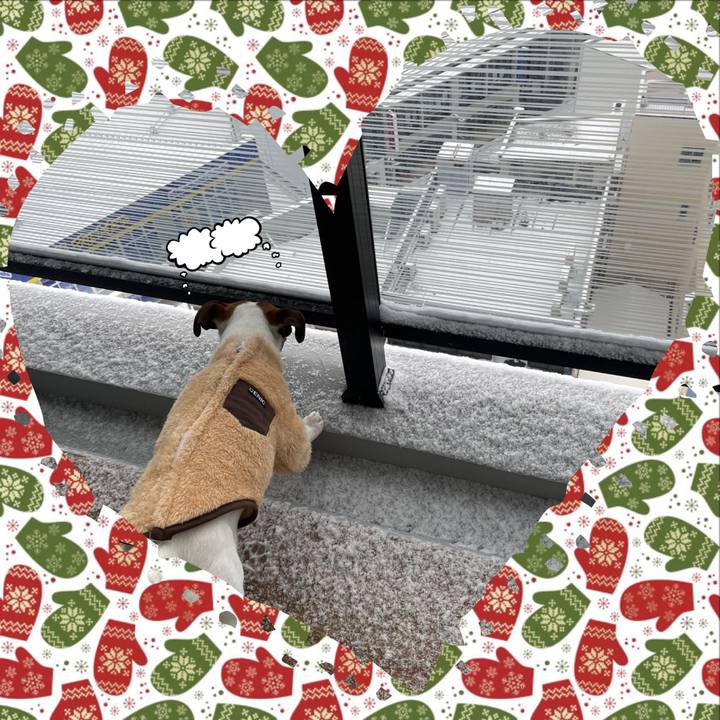 788e9833 7228 4922 837f 52d85a703791 1644015996511