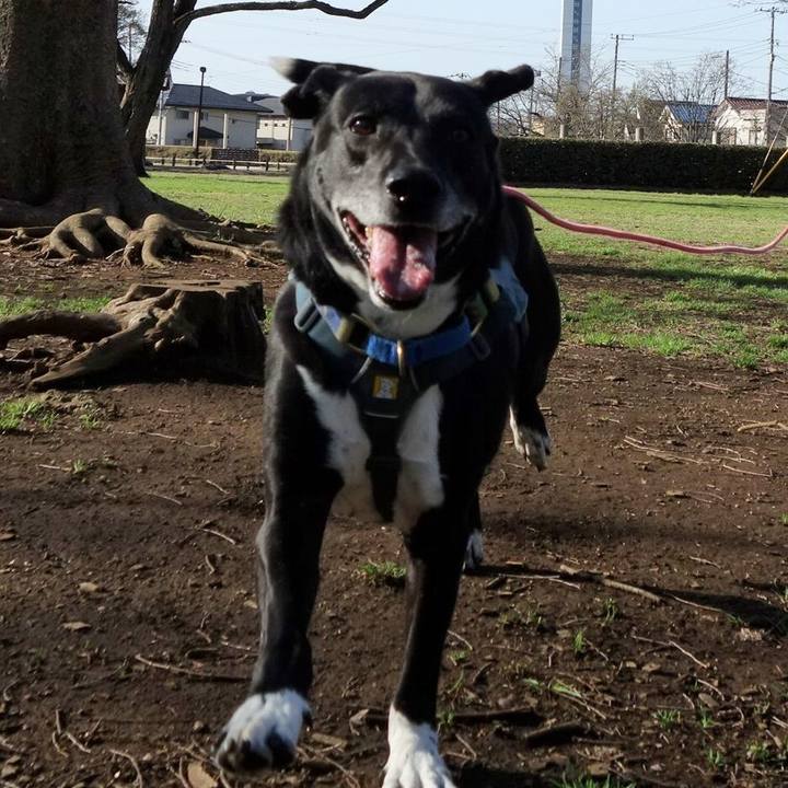 788eaa7e 5fd6 49ca 9074 2eb3ea99058a 1712026036819