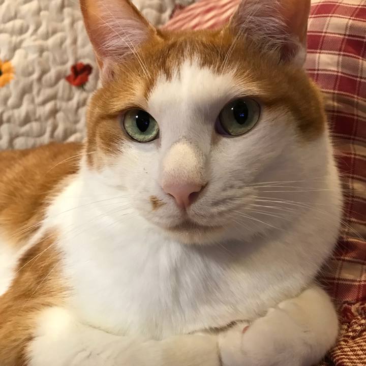 788ec907 aef8 4c91 abd6 31c486e8b566 1535193227278