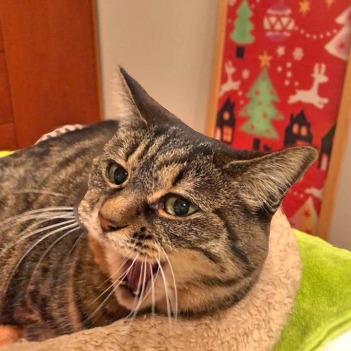 788eca9c 7e94 4afe b3e0 eda1cf313b2b 1766525388238