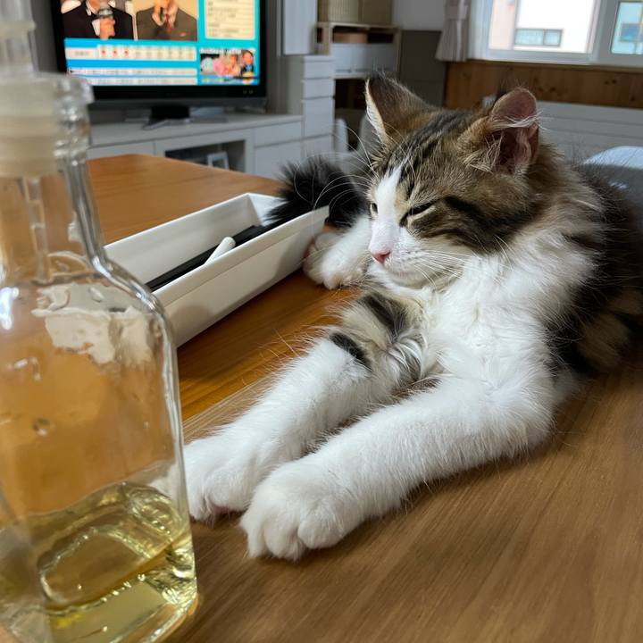 788ed0e3 effd 4a32 b2ad 54d5df6cbaea 1632864157859