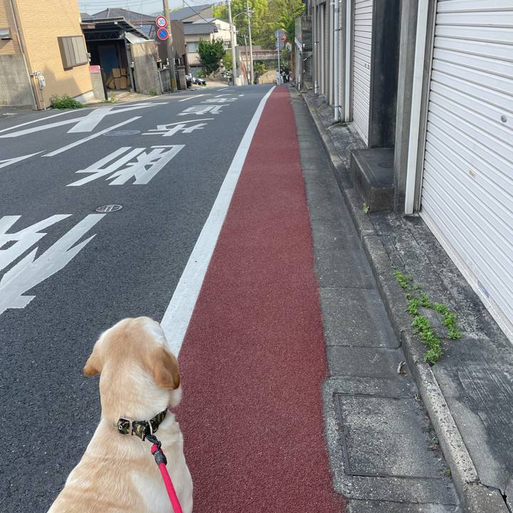 788edb88 2c8a 4f43 b412 e04e1ec1b463 1650325819615