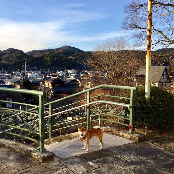 788ee03c e40d 49a0 a4d3 c47b3865d8ea 1513671432799