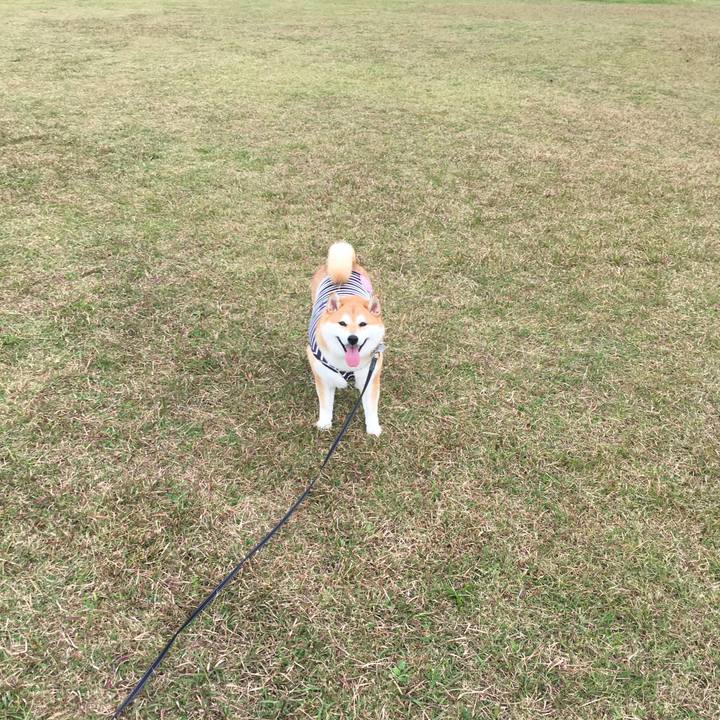 788ee626 6716 4678 b0ce e46a0fc76439 1541469356660