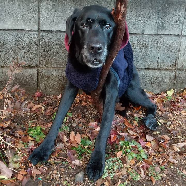 788ef5d7 4b43 4238 8e27 e2fa8cec33b1 1705823851337