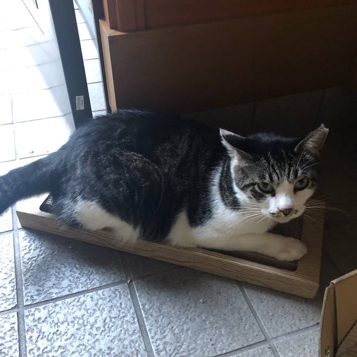 788f1623 aeff 4bf8 93d0 a705e9484d9d 1598781306706