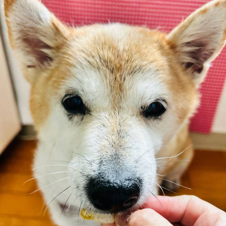 788f8333 cb81 4270 93e1 357115ac2906 1759646239832