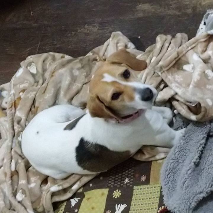 78902059 5f53 4bad 8781 9e93eef1a32e 1586081904028