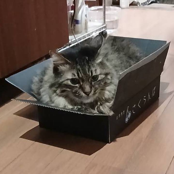 789029ab 169a 40b8 a819 4921b7b39651 1751982801470