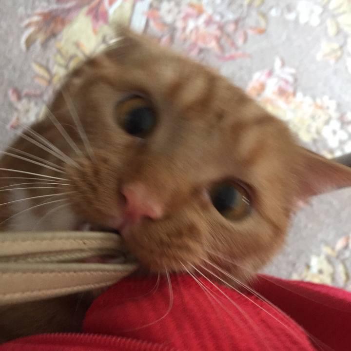 789034a9 5611 4ebd a831 8c1fb0453da2 1526083548928