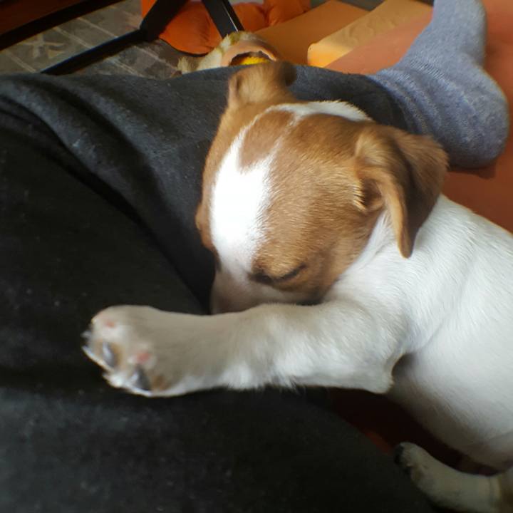 7890569d e3a4 40c6 8c29 30fd16b42f10 1550540136487