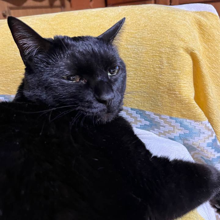 78905a12 54f0 4c3b 806c a83fc58c62da 1678962194339