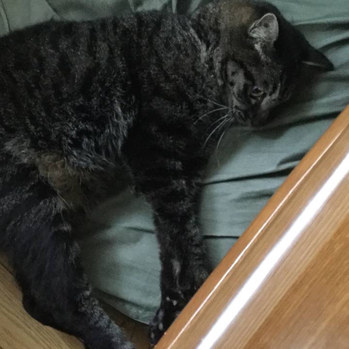 78906ecd b6ba 487e b80f c0c21576fbfe 1595978118612