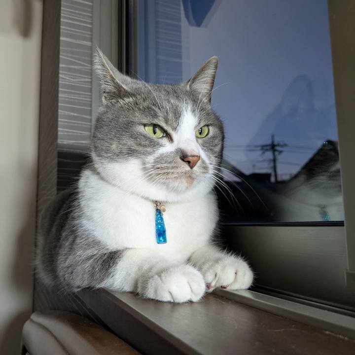 7890806c e20f 4c59 a80a 04d9ea7fe655 1747130887513