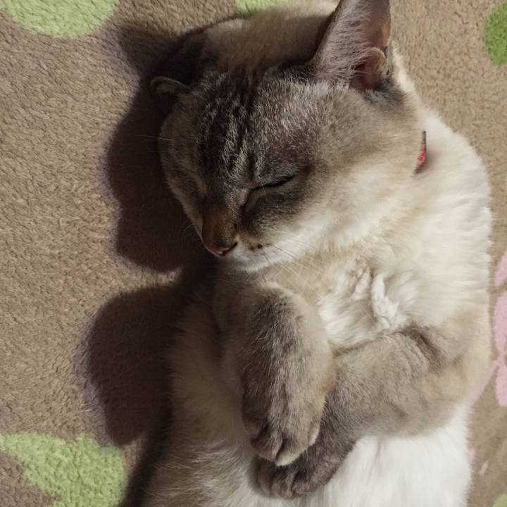 7890ac21 0c36 4a02 8dfd e8c4affda000 1540815258426