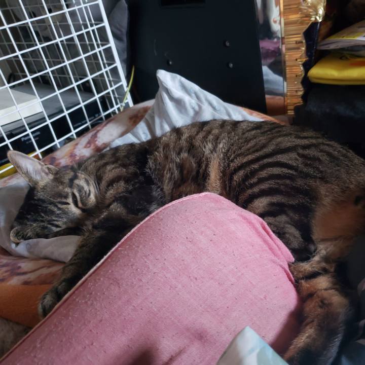 7890bc63 8432 4ab4 a96c e8d90e611111 1559813100717