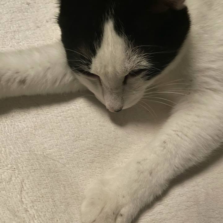 7890db4e 14d9 445c bcf5 d18925c70dea 1625318162972