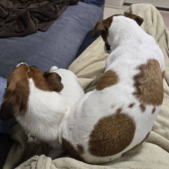 7890fc51 053c 49cd 974a 76d1e9d2d70f 1773317010608