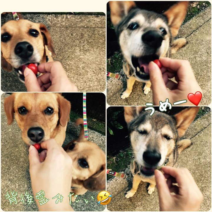 7891046d 6bb7 443d a444 77a67fccb11b 1530710233045