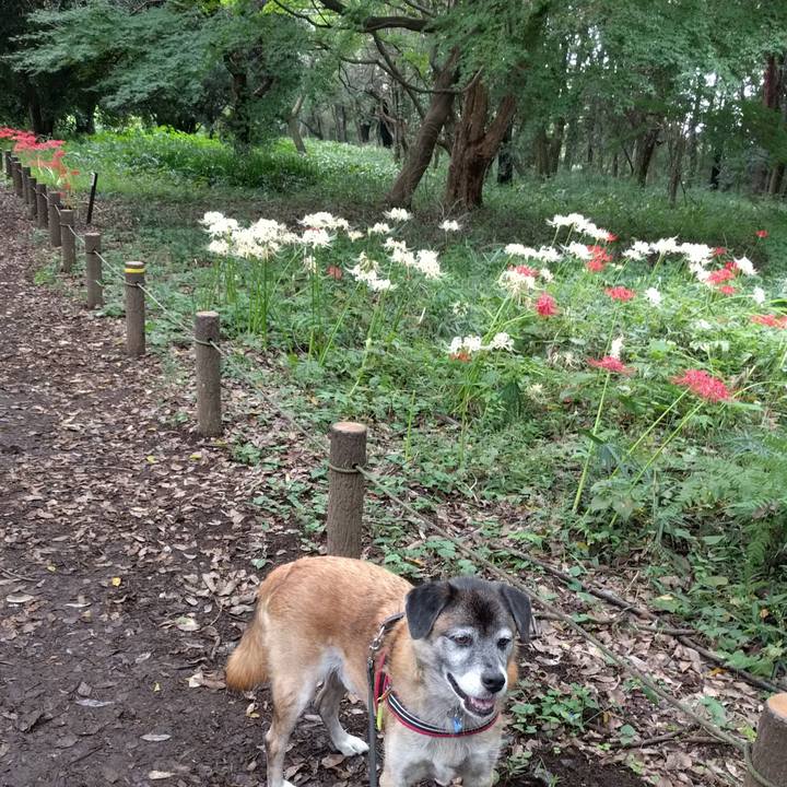 78910c29 eba4 47c2 8588 6b72df932925 1537663888659