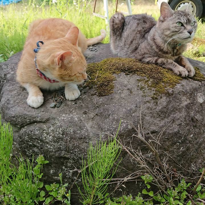 78912f40 88a5 4dea 943c 0511801815cd 1559460394572