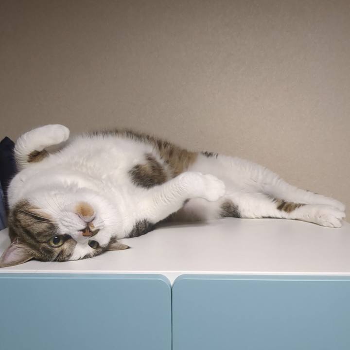 7891557f 78cb 418e a83f a5559b89d41a 1754873837238