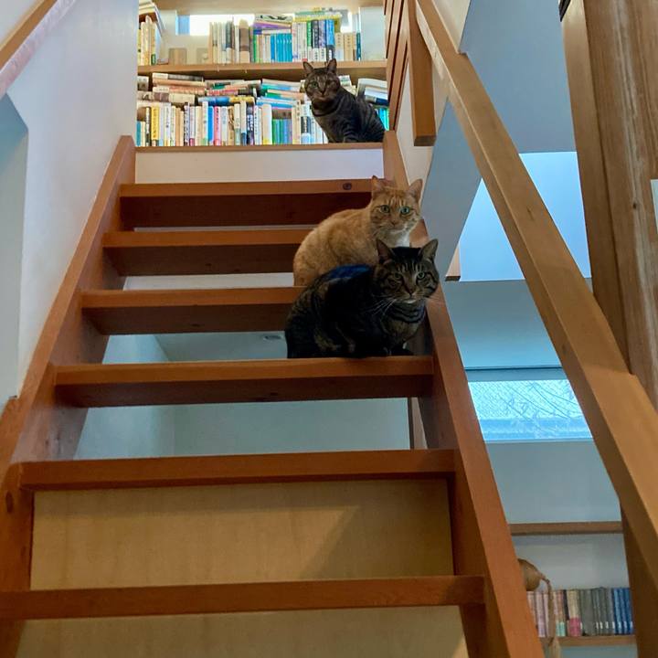 78917a6d c373 4f07 9cf8 9e4b2863f32f 1705103959777