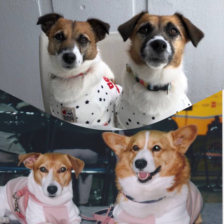 7891aeab a6d5 4b6c acd9 394ebf7299e1 1559557419340