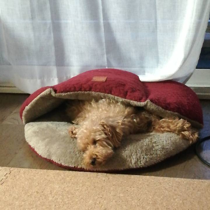 7891e445 913d 4f89 b8c7 5baa222330e6 1539728188175