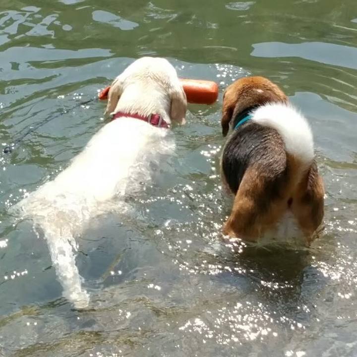 7891fcc2 700e 4f4a aaf4 e50e5718eae2 1723703317468