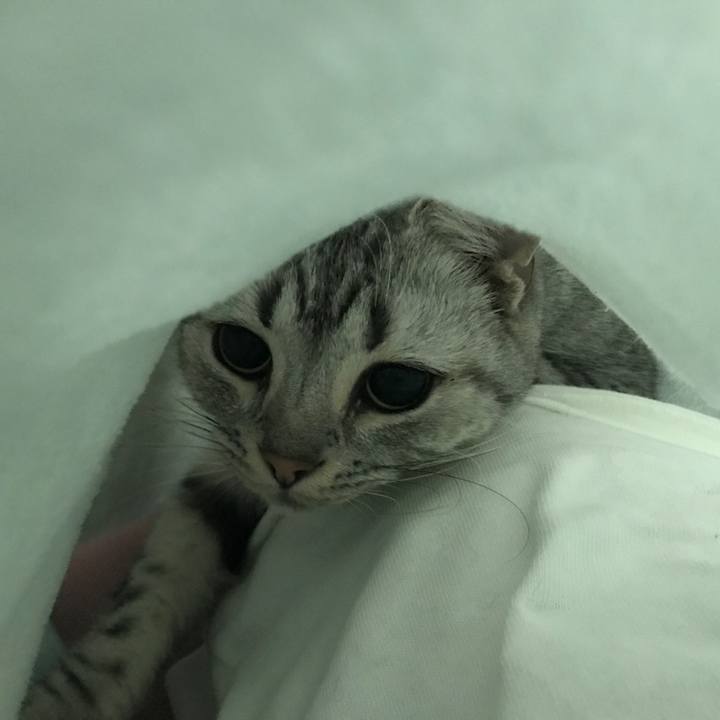 7891ffee ac2e 4d60 ba61 7be453407f54 1510095938613