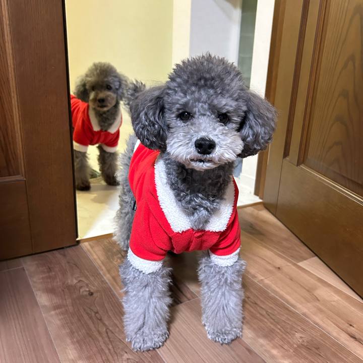 78920134 871c 4e63 a8d2 185faa9f375b 1766577509371