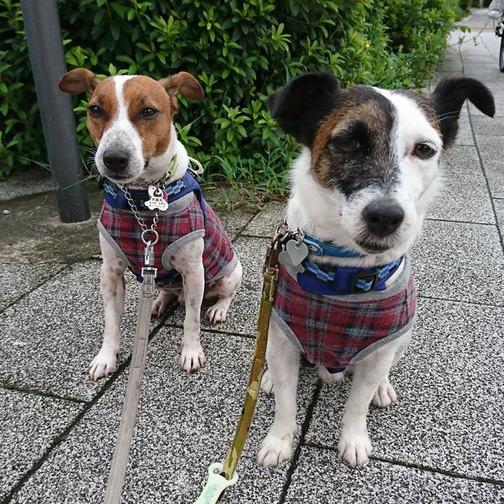 78920408 0fd6 4e1d 9766 ffcb85c28f0d 1595802711725