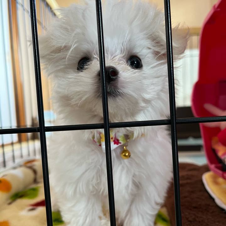 789206f5 0a6e 46ee 91ff e728fb933029 1701334038857