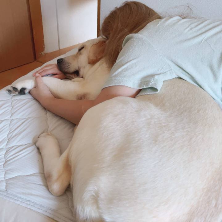 78922a8a 2534 4200 b1b4 bd5402ffbde6 1632279365253