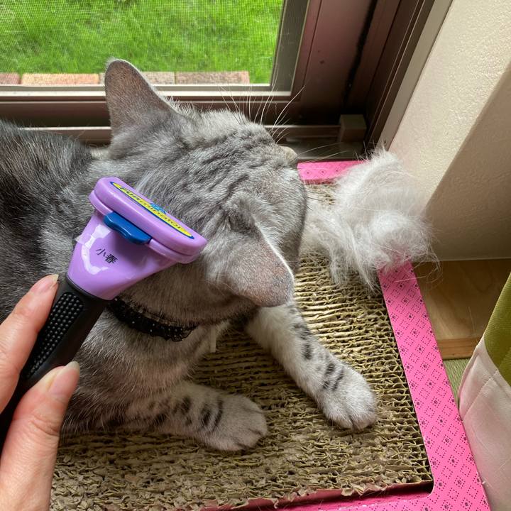 78924f4b 3ca4 42e5 8303 20b8e32d14e1 1595553681366