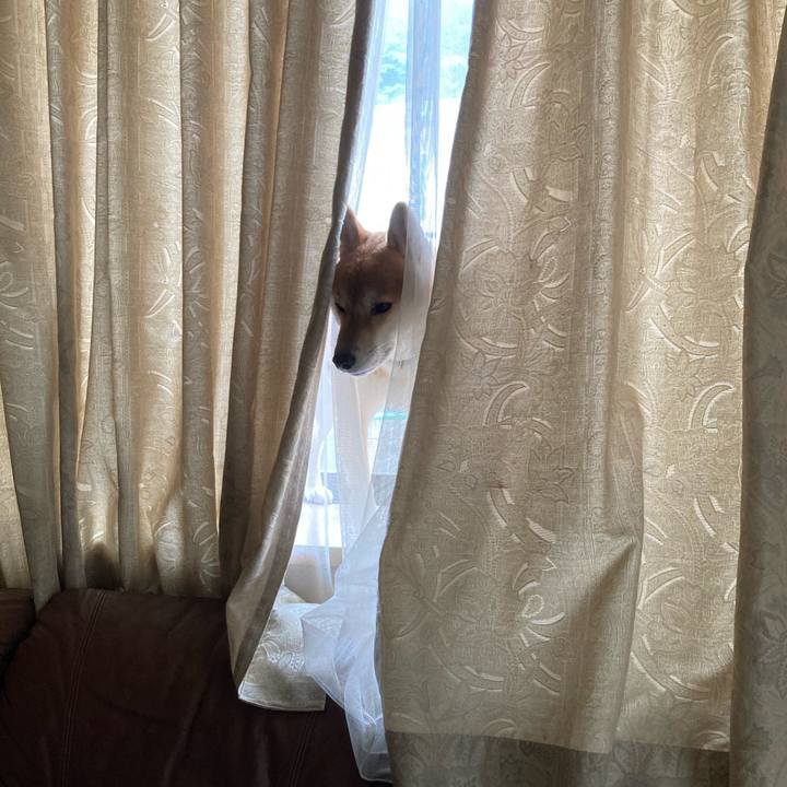 78925e60 0a3f 4cd0 b0e6 356f60bcffc1 1665194994094