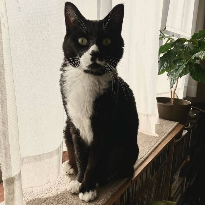 78926138 257a 4a18 946d 7805de60313d 1770005850336