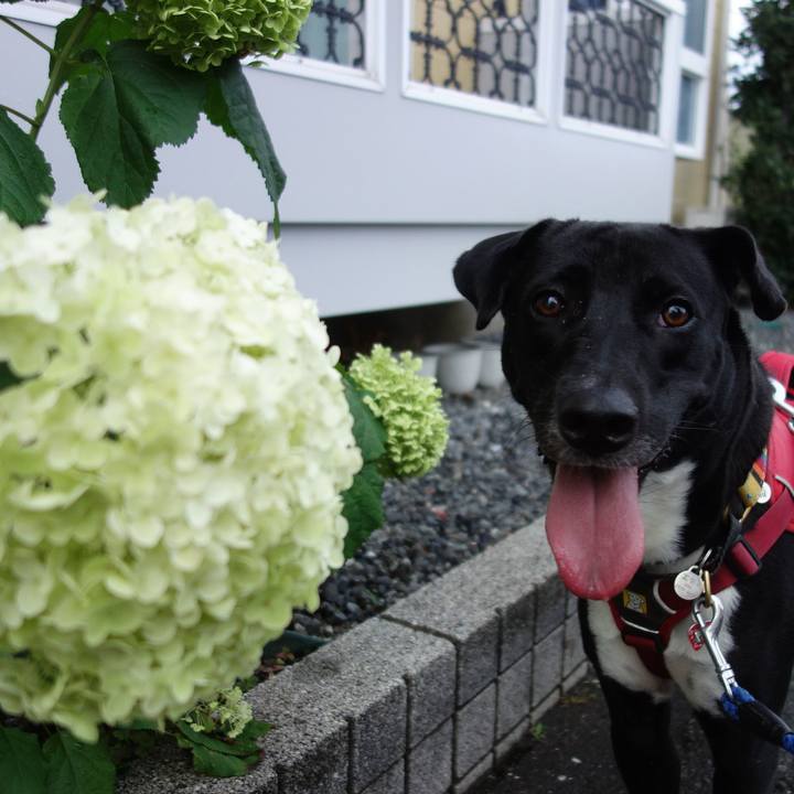 7892a5a9 698c 46e2 830d 5fcf306f6a79 1594376343208