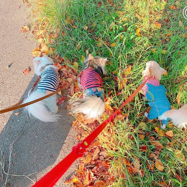 7892aaa2 cbbd 431b 900e 2550be91a8f5 1632740252302