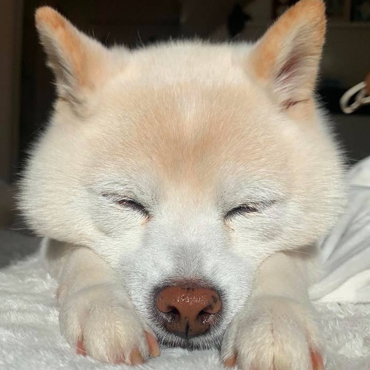 7892f860 71d9 40b0 9a41 7c061115c847 1736682093050