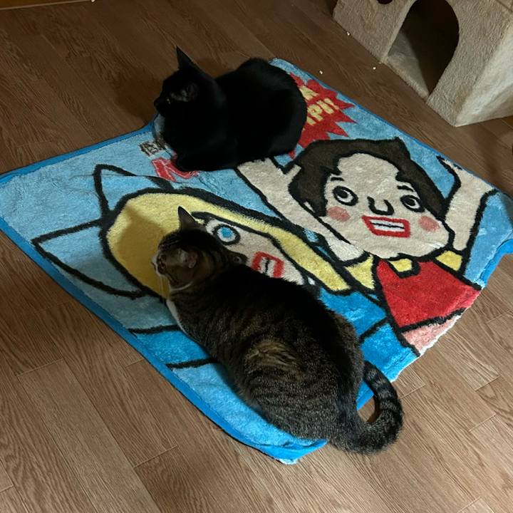 78930c5b 69b8 4914 bb0e 78275bd30b33 1678631523187